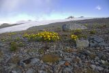 Image of landscape
