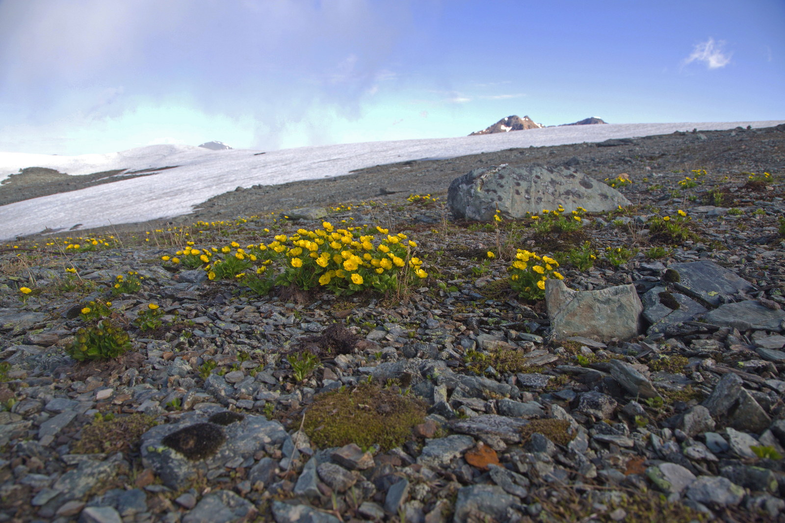 Гора Лысуха, image of landscape/habitat.