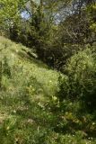 Окрестности Кармраванка, image of landscape/habitat.