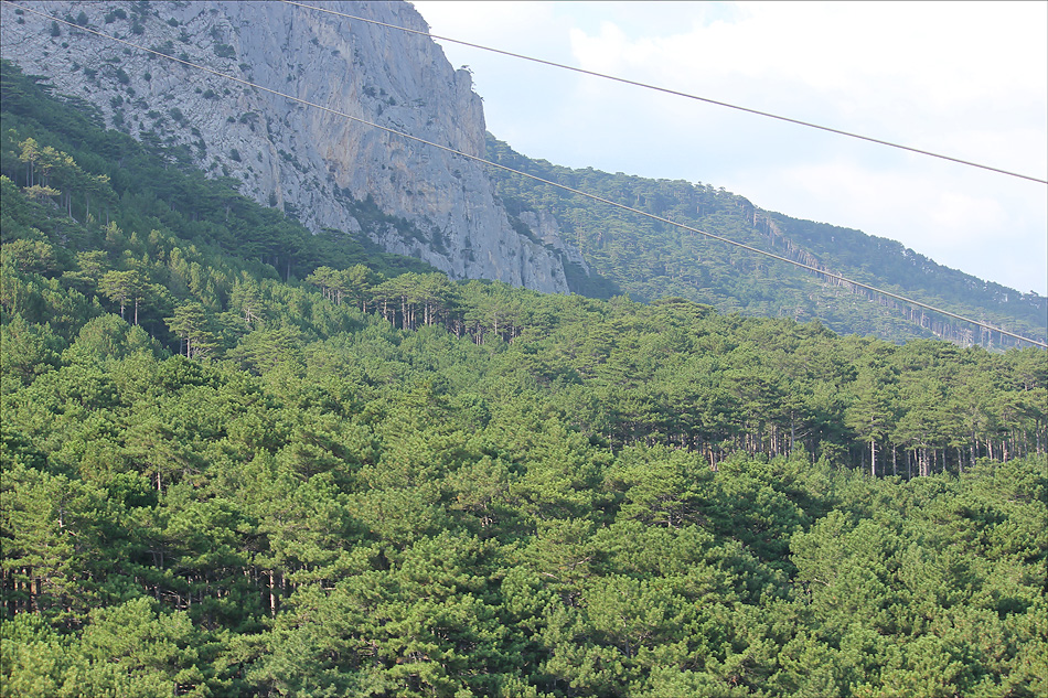 Ай-Петринская яйла, image of landscape/habitat.