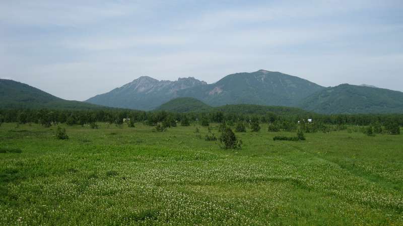 Кордон "Центральный", image of landscape/habitat.