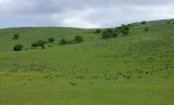 Image of landscape