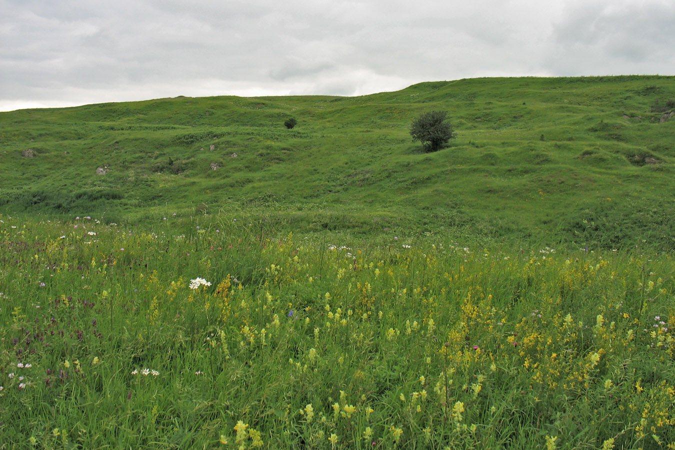 Касова гора, image of landscape/habitat.