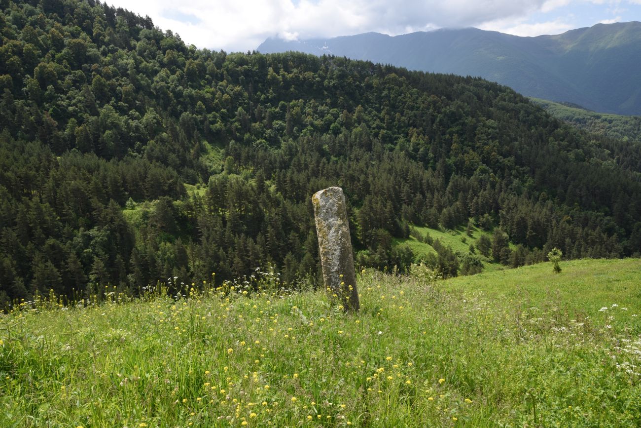 Окрестности урочища Меллер, image of landscape/habitat.