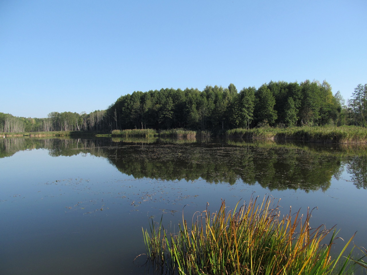 Водохранилище Косичи, изображение ландшафта.