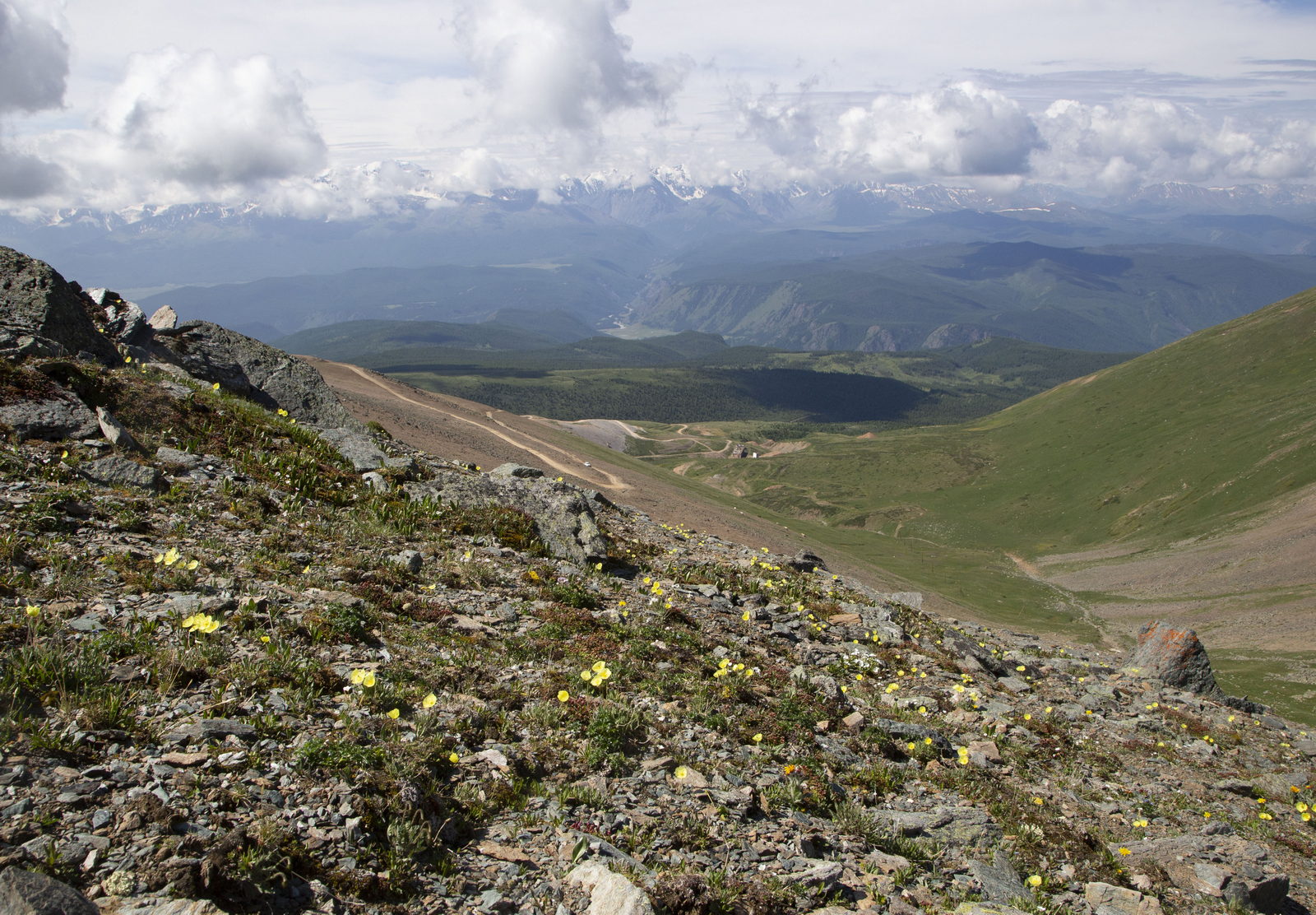 Гора Лысуха, image of landscape/habitat.