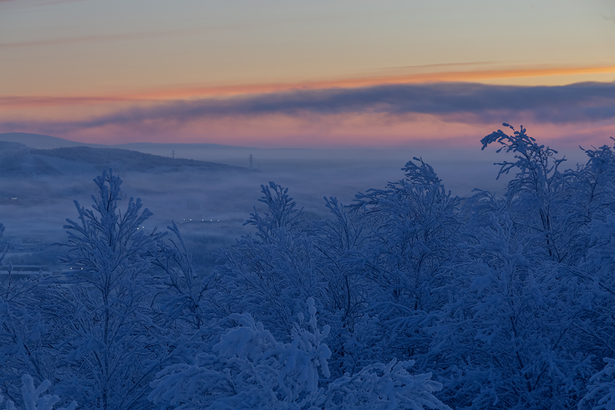 Горелая сопка, image of landscape/habitat.