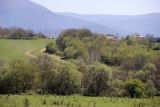 Байдарская долина, image of landscape/habitat.