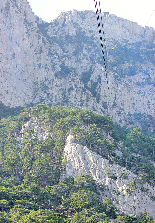 Ай-Петринская яйла, image of landscape/habitat.