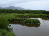 Image of landscape