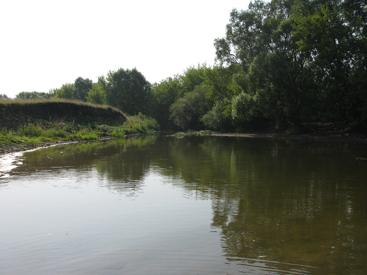 Среднее течение реки Усожа, image of landscape/habitat.