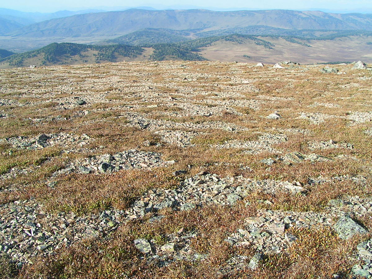 Гора Красная, image of landscape/habitat.