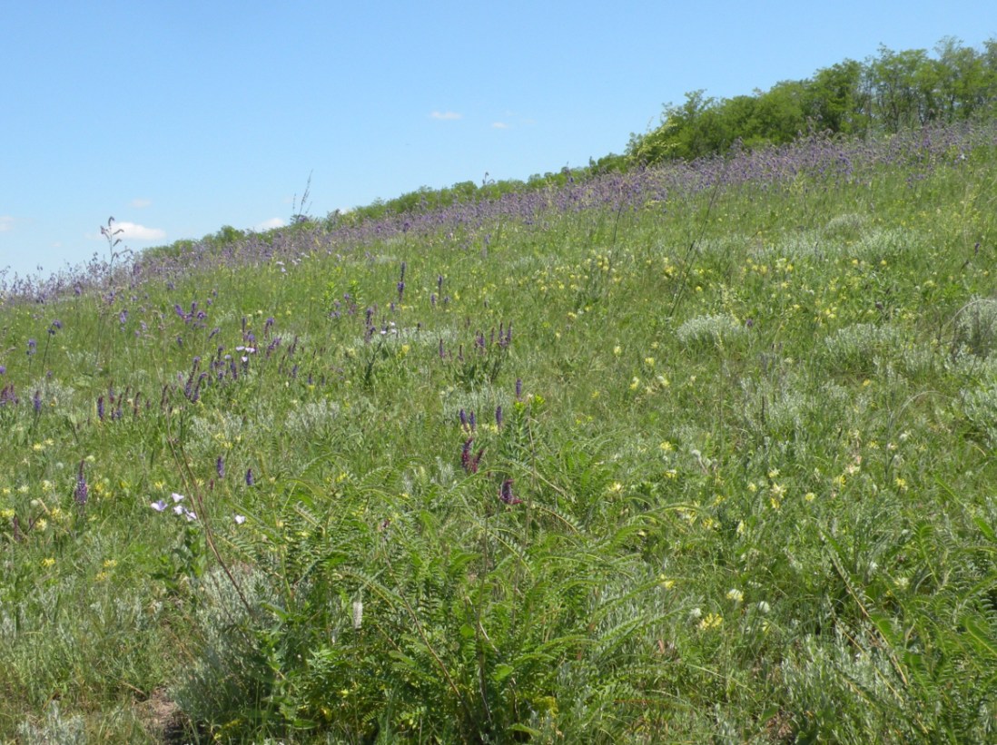 Верховья реки Самоткань, image of landscape/habitat.