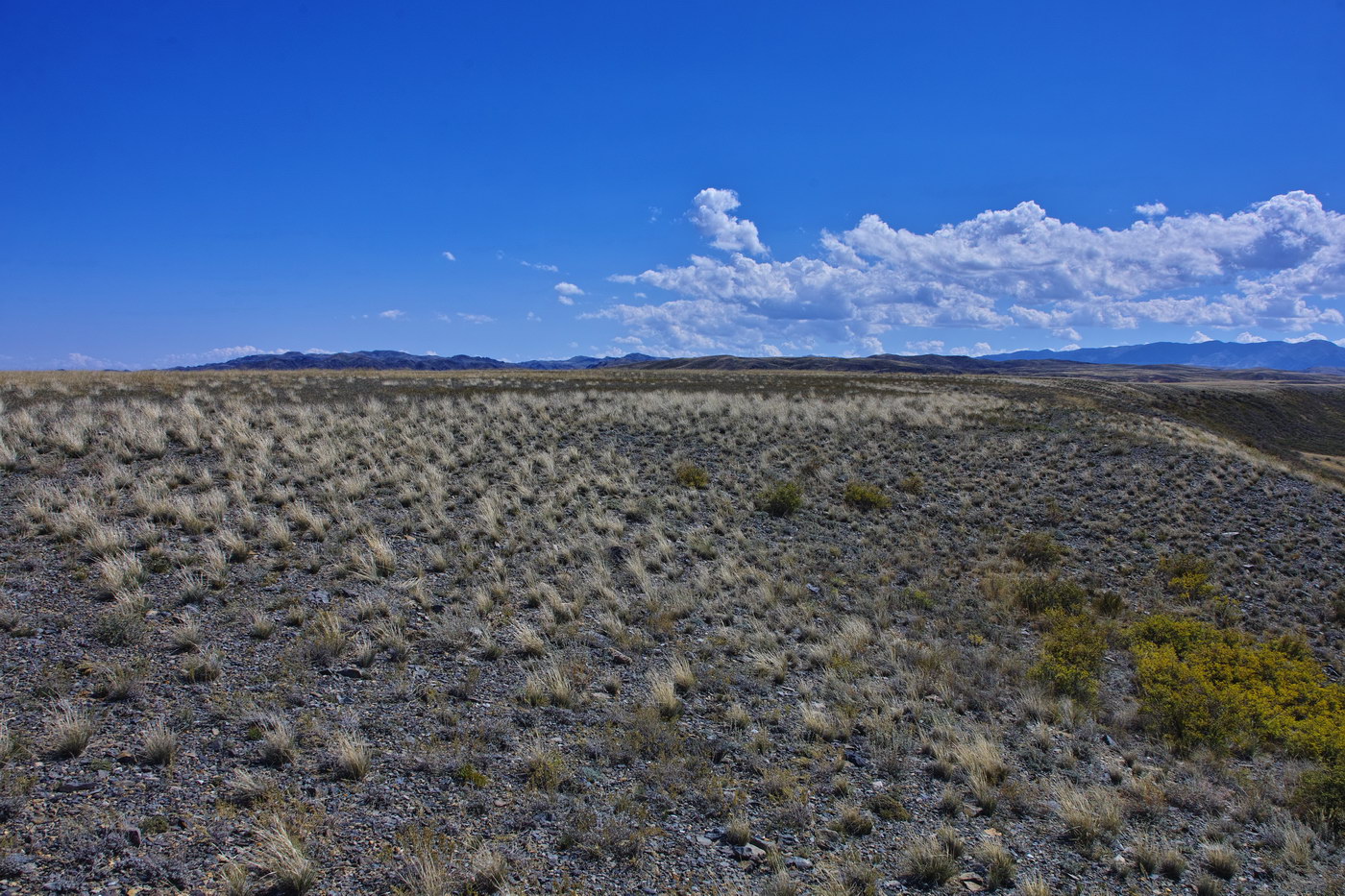 Кусто, image of landscape/habitat.