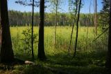 Image of landscape