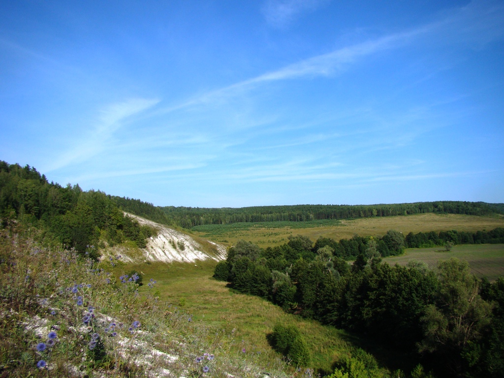 Валгуссы, image of landscape/habitat.