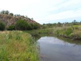 Балка Щавелевая, image of landscape/habitat.