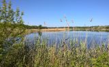 Город Тихорецк, image of landscape/habitat.