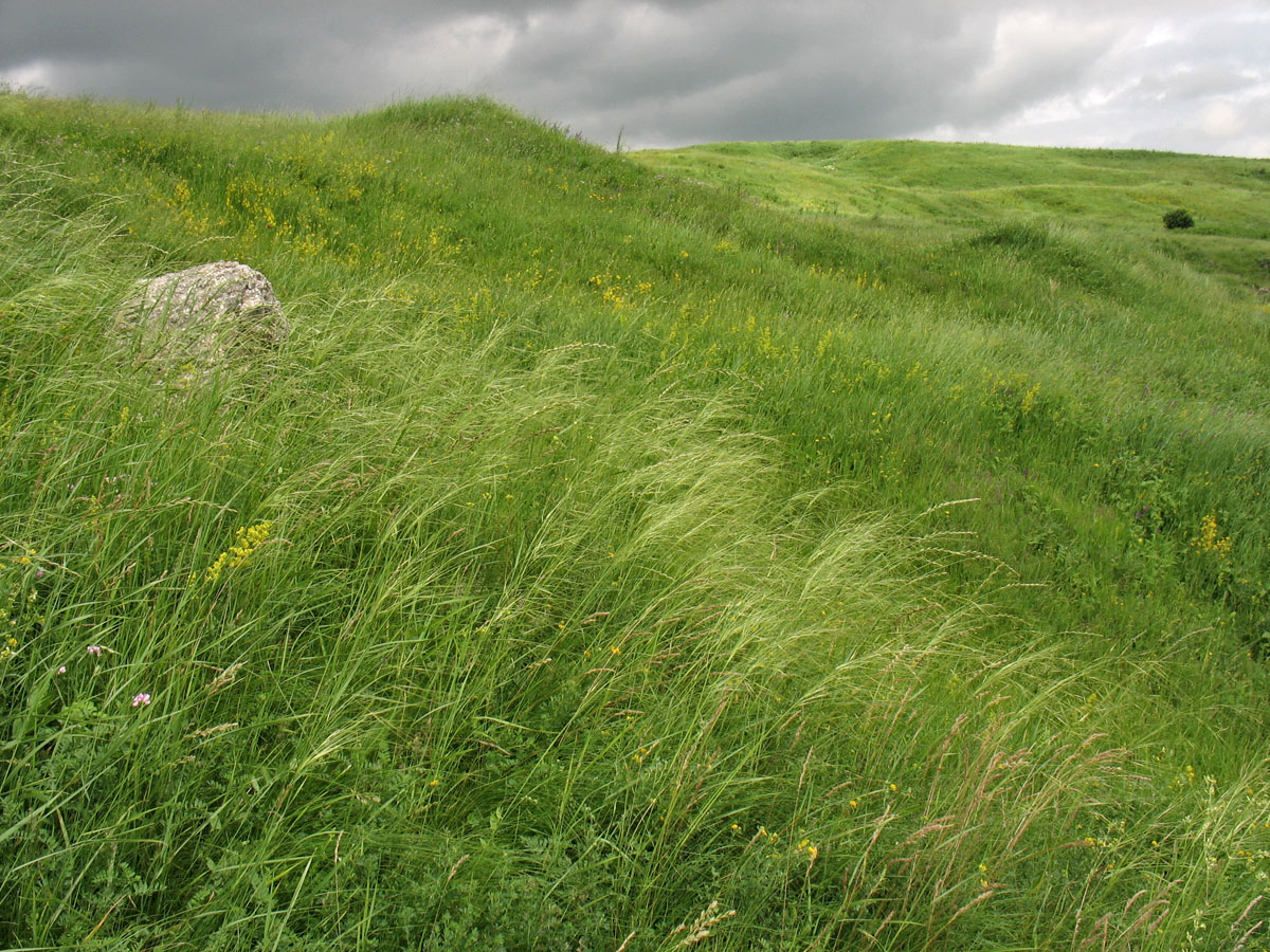 Касова гора, image of landscape/habitat.