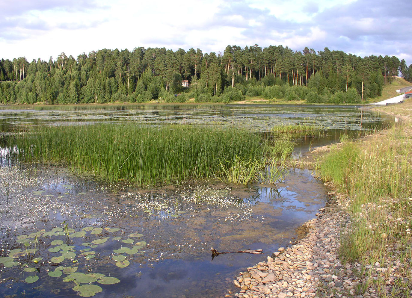 Горьковское водохранилище, изображение ландшафта.