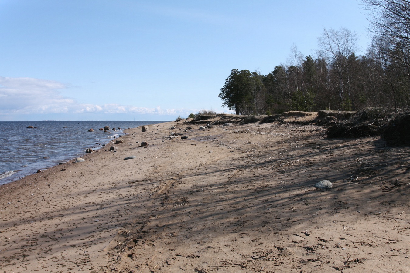 Лебяжье, image of landscape/habitat.