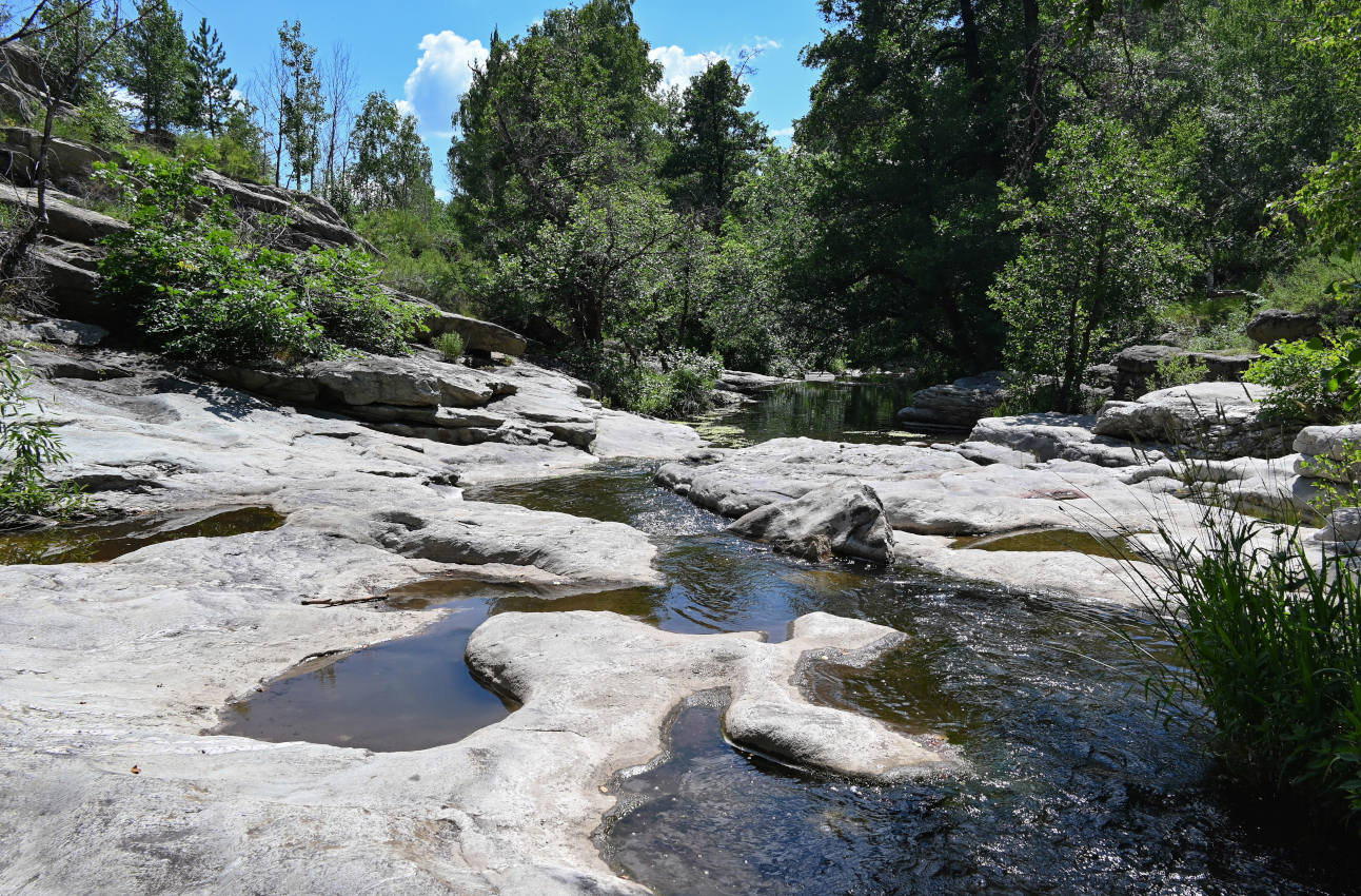 Карагай-Губерлинское ущелье, image of landscape/habitat.