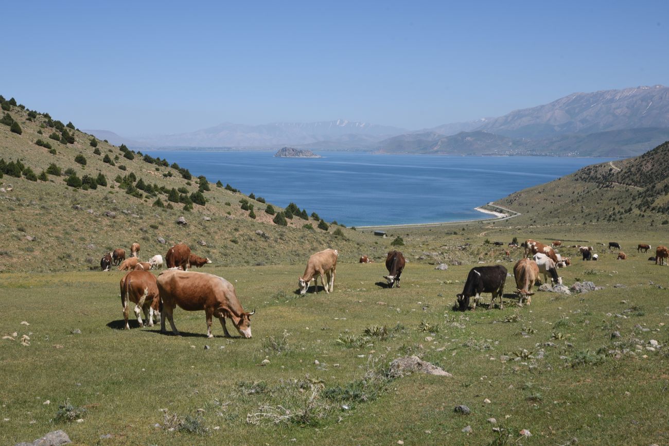 Окрестности Кармраванка, image of landscape/habitat.