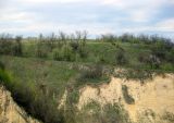 Image of landscape