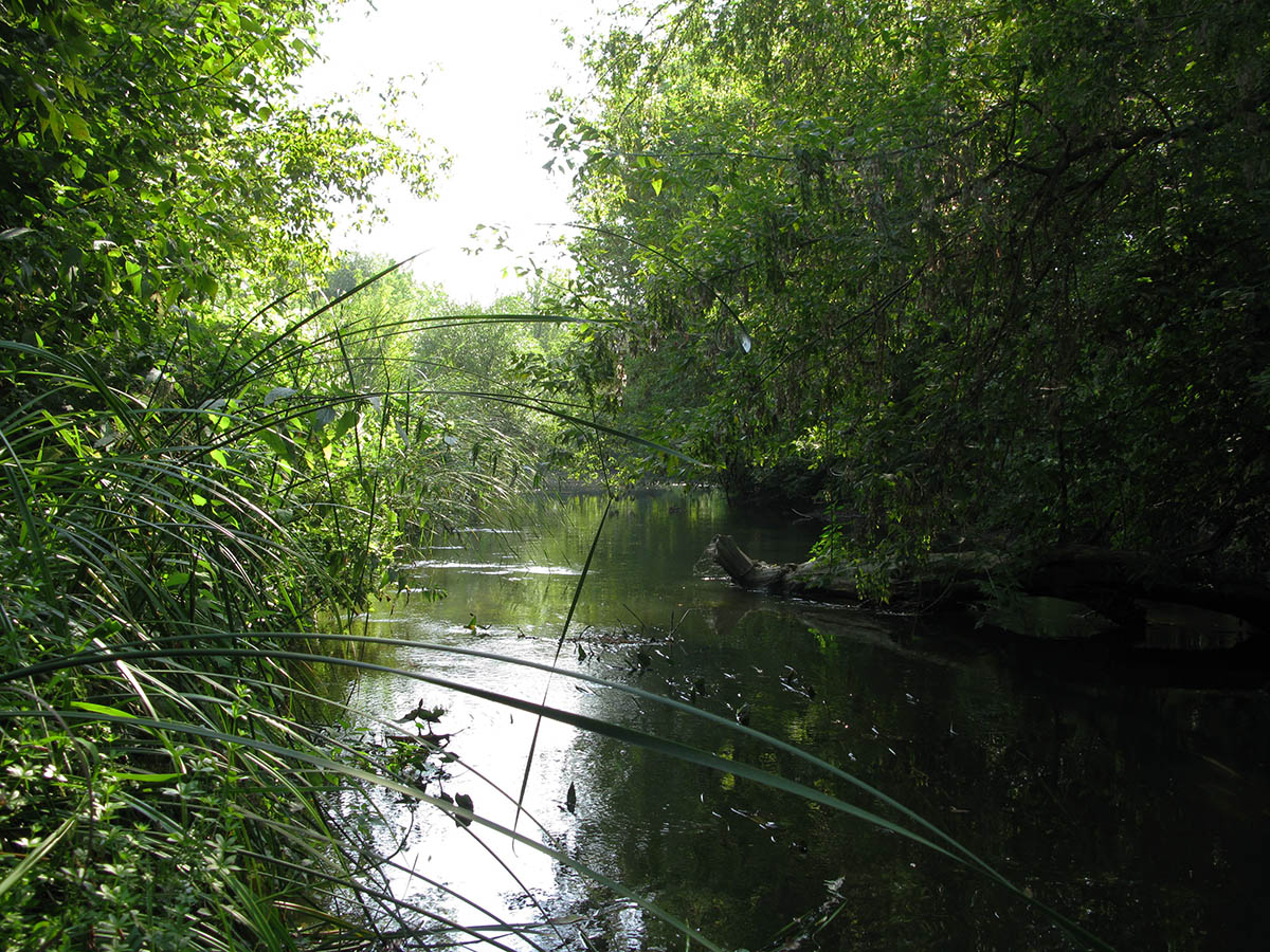 Среднее течение реки Усожа, image of landscape/habitat.