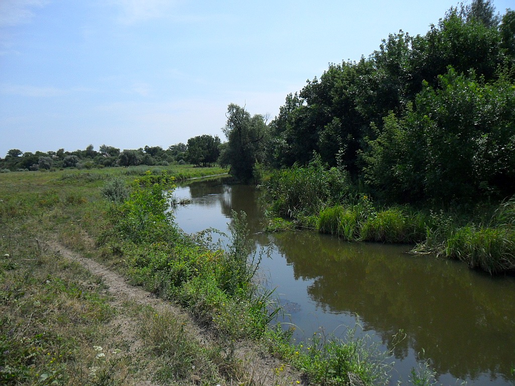 Лысогорка, image of landscape/habitat.