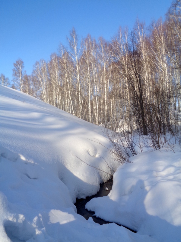 Дарвинская тропа, image of landscape/habitat.