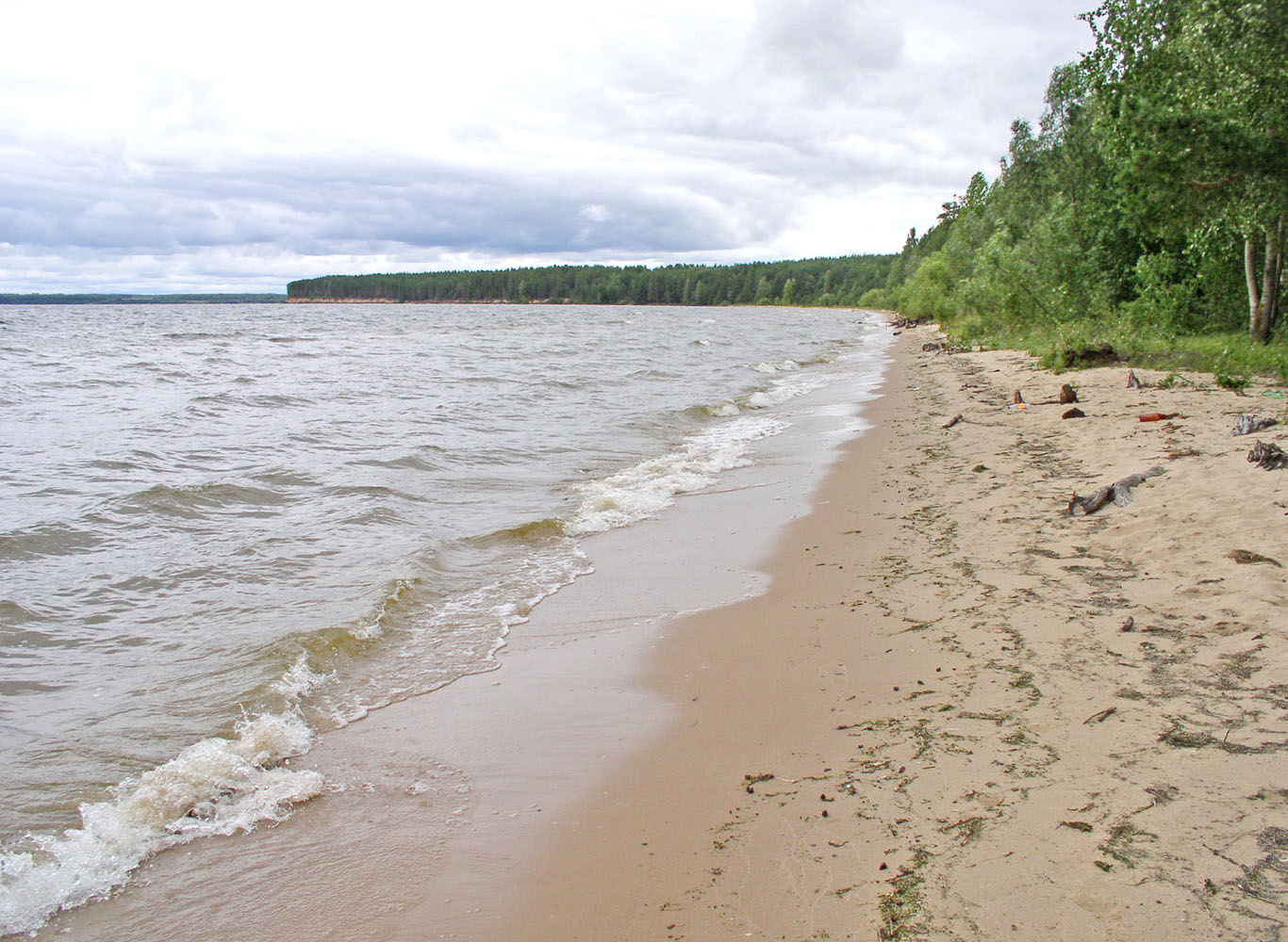 Горьковское водохранилище, image of landscape/habitat.