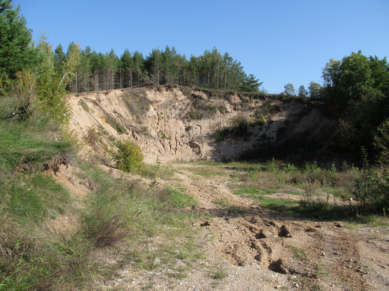 Туличево, image of landscape/habitat.