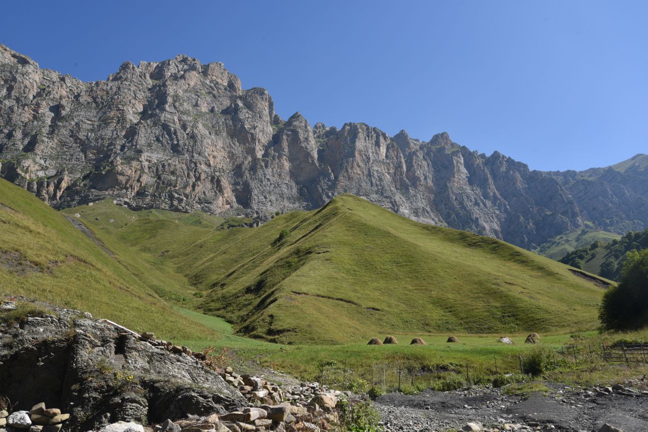 Урочище Хилиди, image of landscape/habitat.