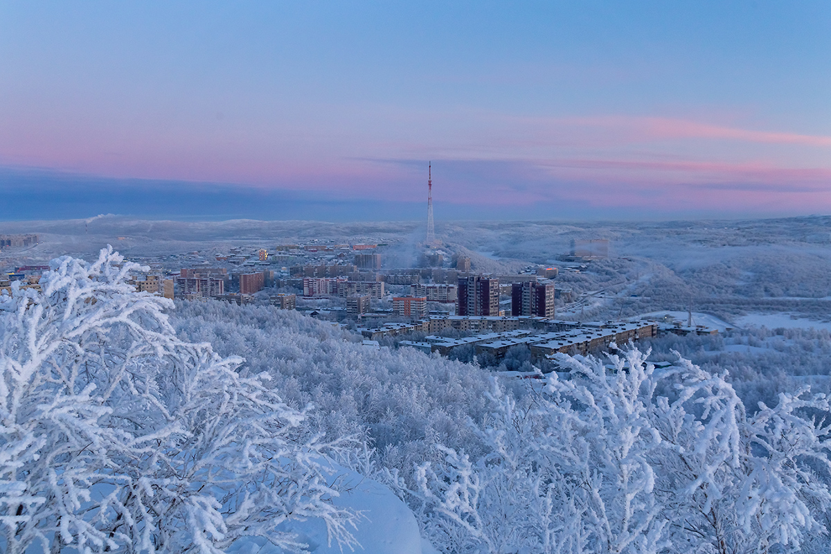 Горелая сопка, image of landscape/habitat.
