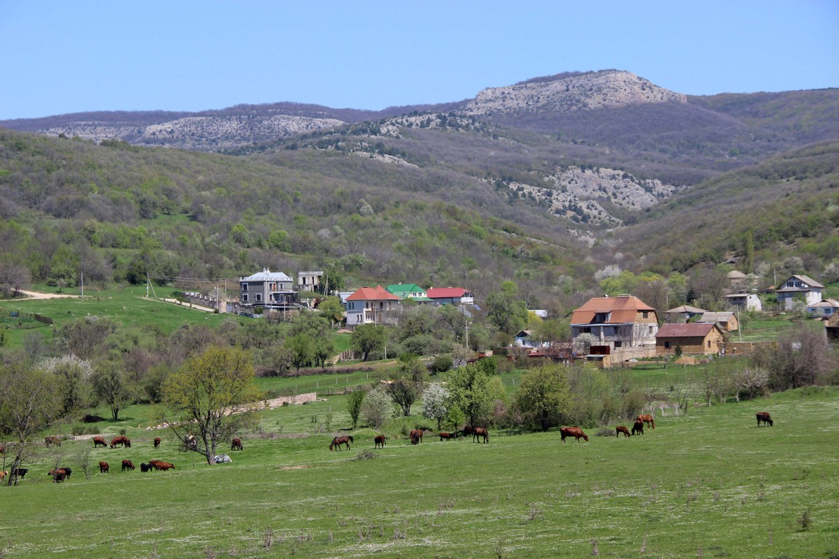 Байдарская долина, image of landscape/habitat.