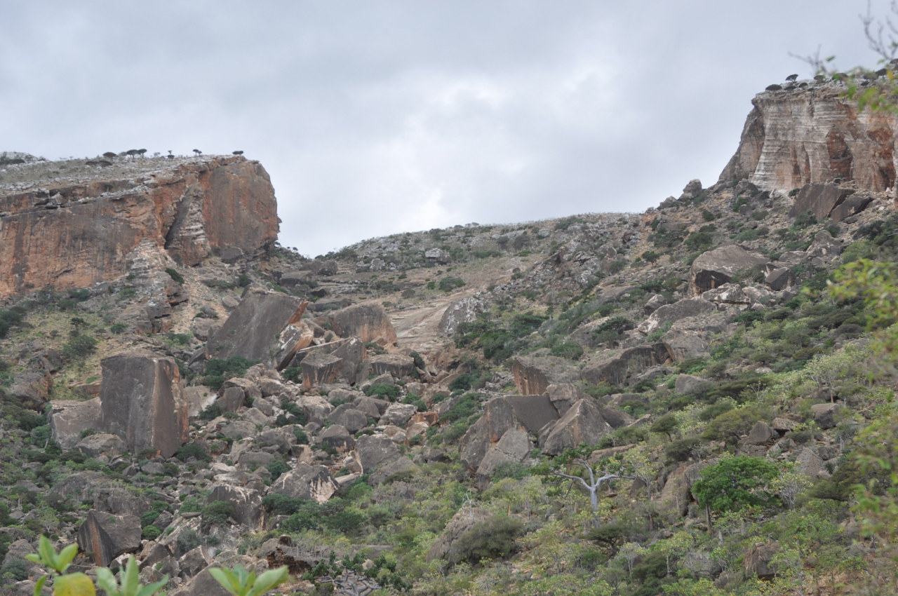 Плато Хомхи, image of landscape/habitat.