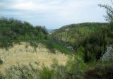 Image of landscape