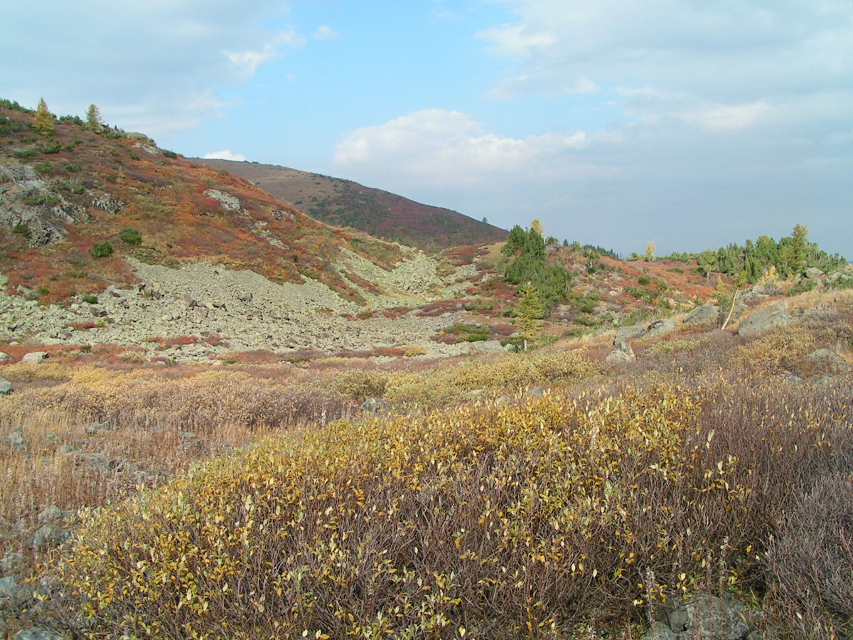 Гора Красная, изображение ландшафта.