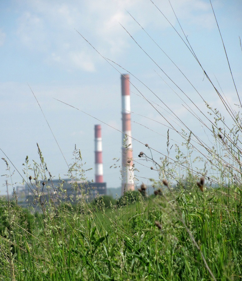 Смоленск, image of landscape/habitat.