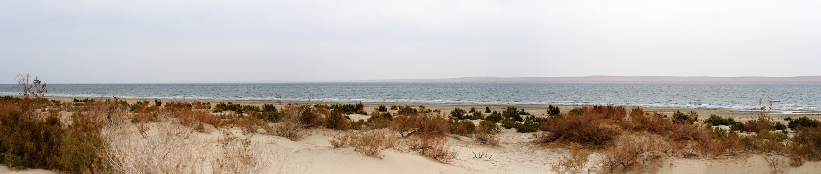 Окрестности озера Денгизкуль, image of landscape/habitat.