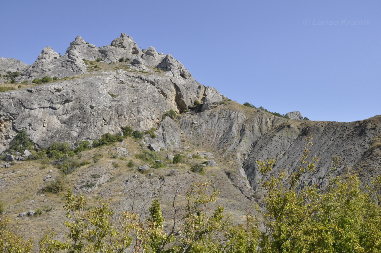 Эчкидаг, image of landscape/habitat.