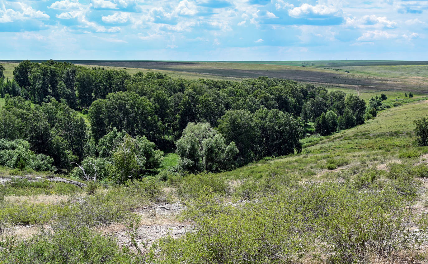 Карагай-Губерлинское ущелье, image of landscape/habitat.