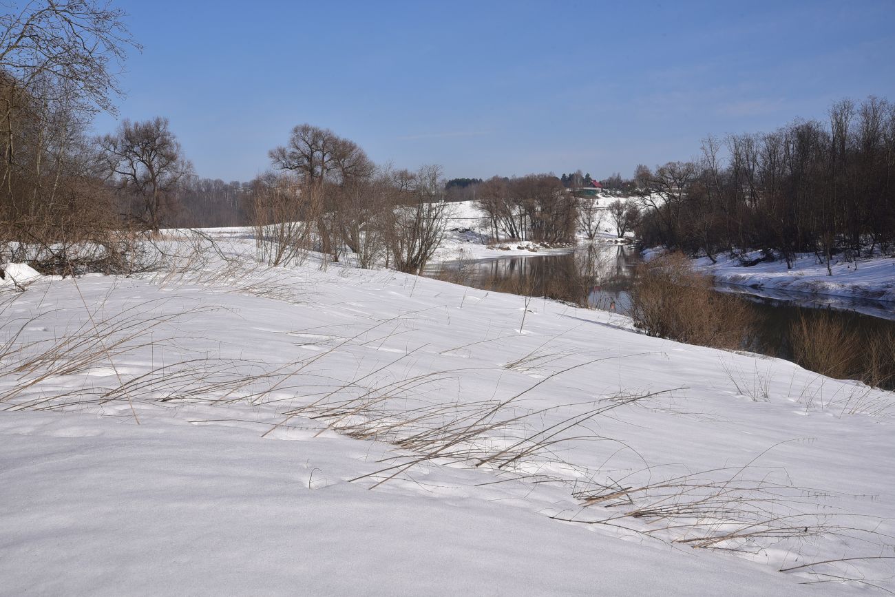Окрестности устья ручья Исьма, image of landscape/habitat.