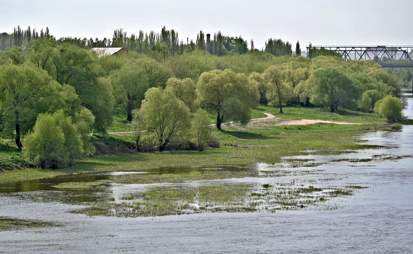 Елец, image of landscape/habitat.