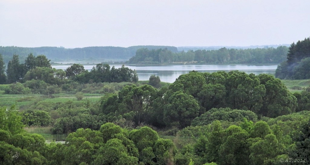 Каспля, image of landscape/habitat.