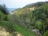 Image of landscape