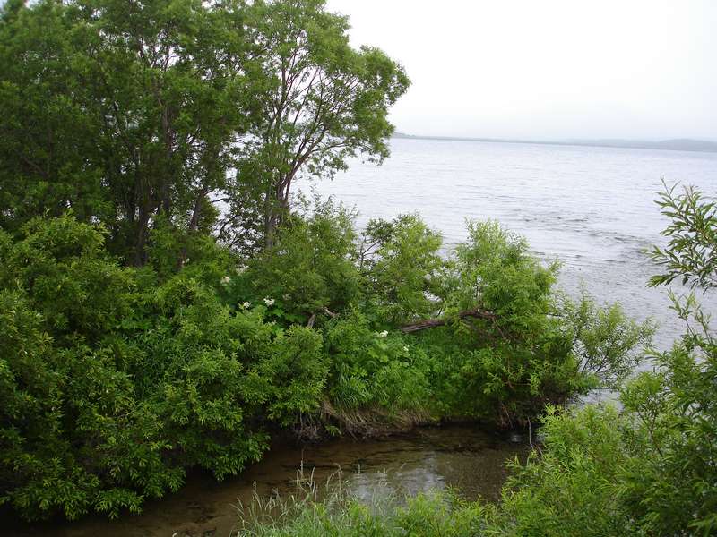 Озеро Начикинское, изображение ландшафта.