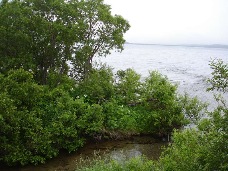 Озеро Начикинское, image of landscape/habitat.