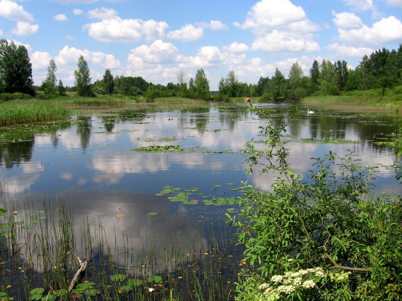 Отцеда, image of landscape/habitat.